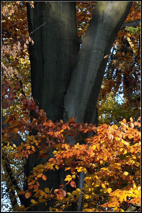 DSC_0027 vítězství