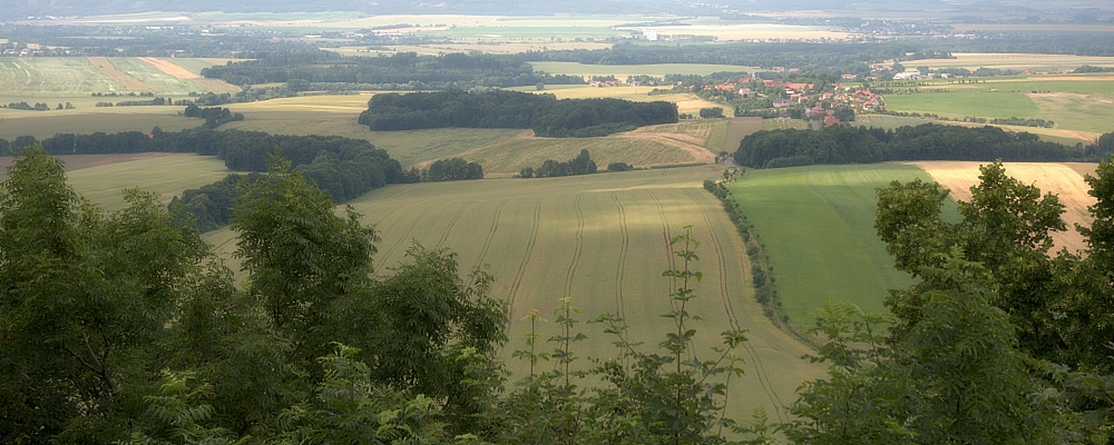 panorama