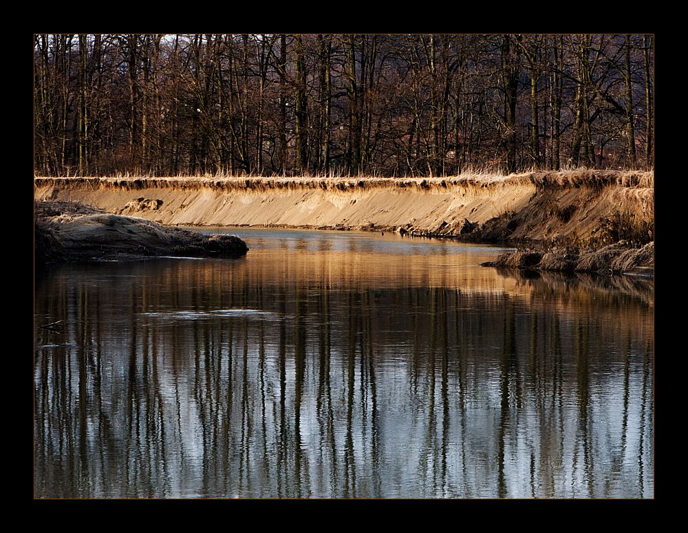 DSC_0051 a
