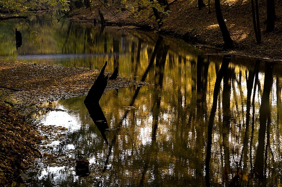 DSC_0349