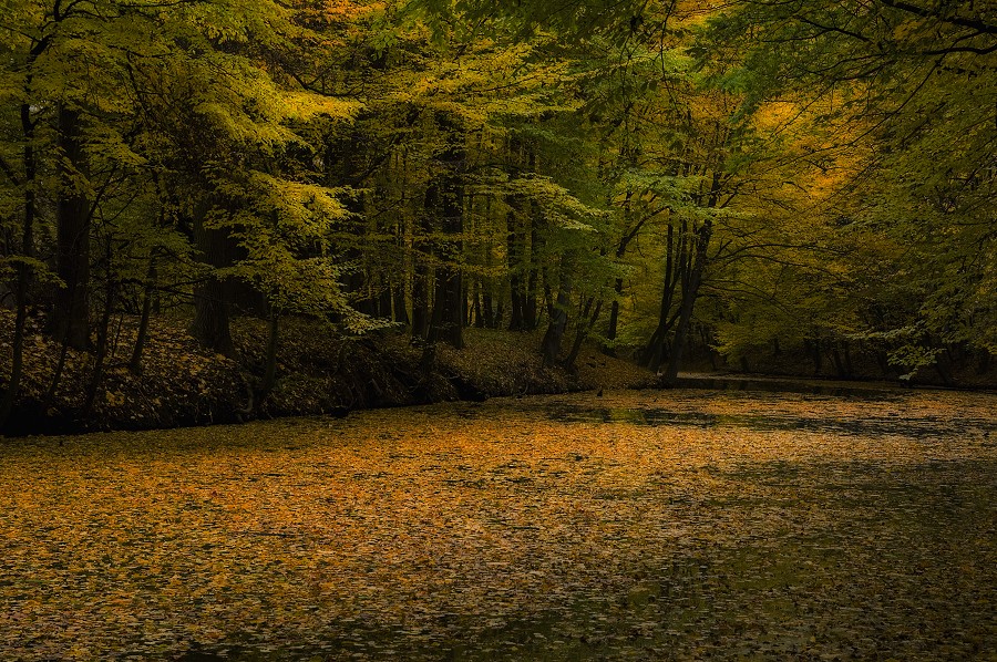 DSC_0363 PS