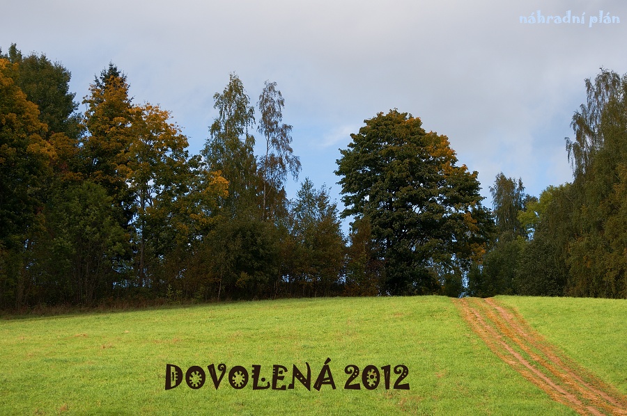 DSC_0434 a